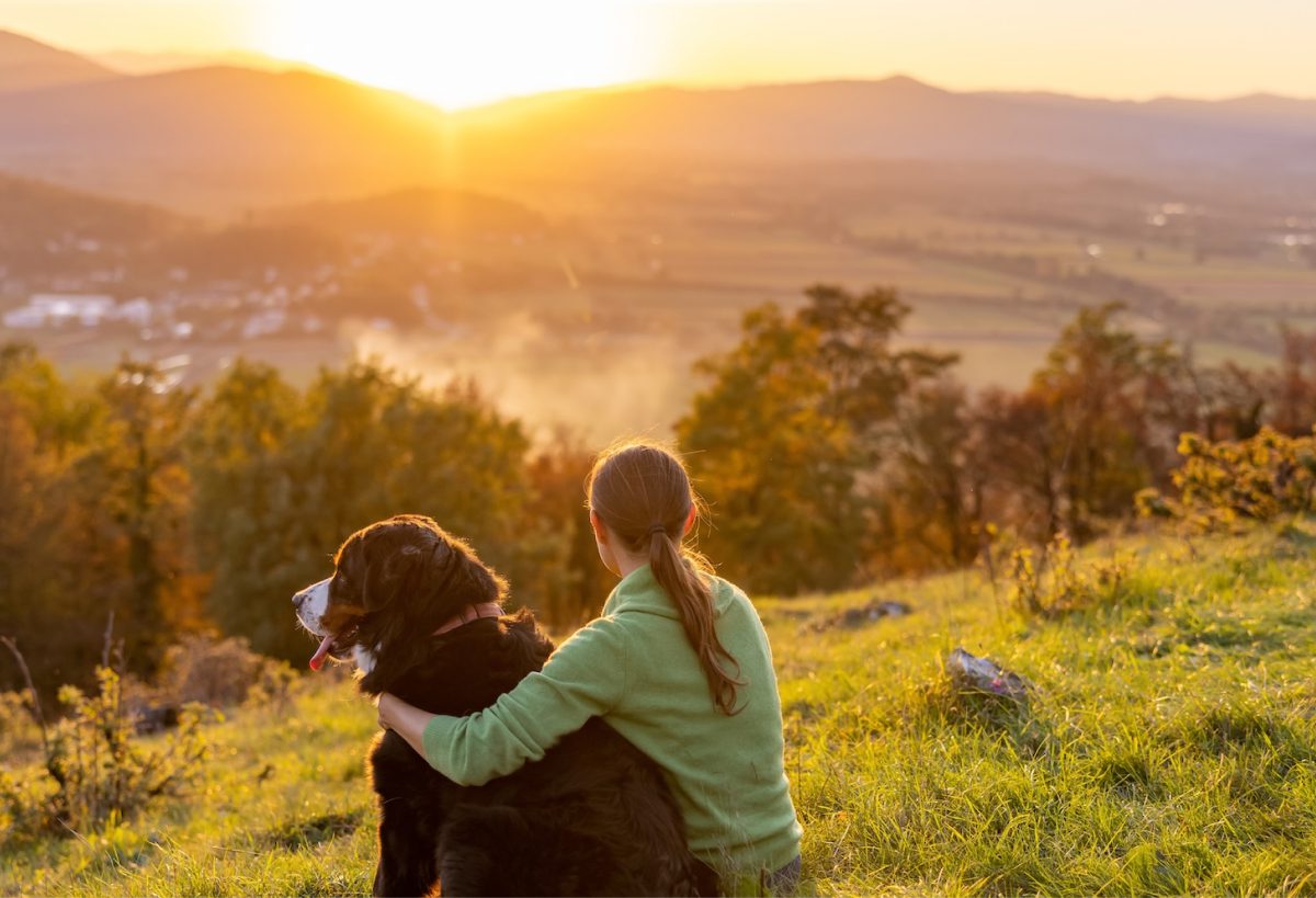 Inpatient Psychiatric Services and Dignified Care